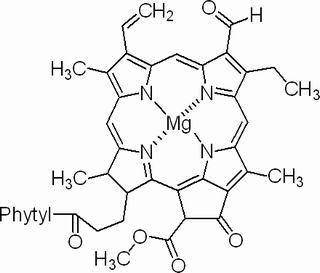 叶绿素B