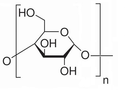 支链淀粉