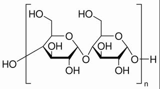 马铃薯淀粉