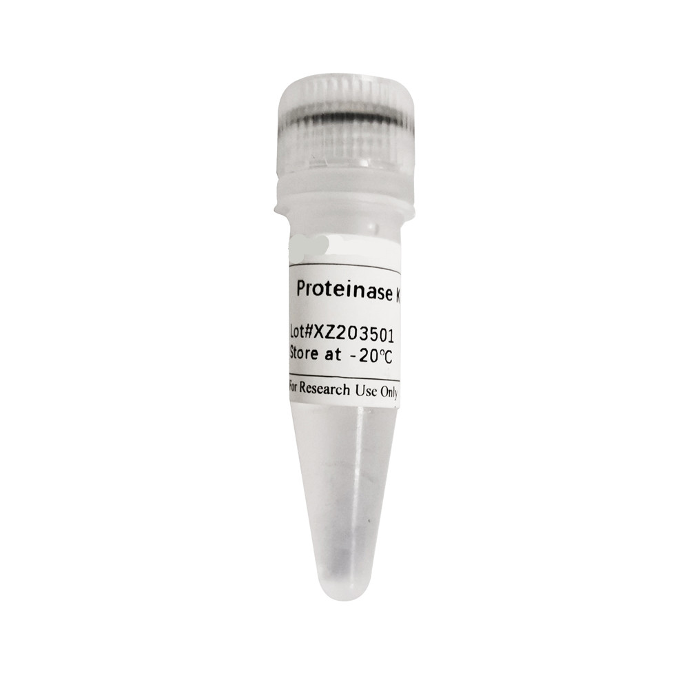 Recombinant Proteinase K（20 mg/mL）
