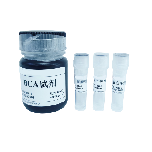 BCA蛋白定量检测试剂盒