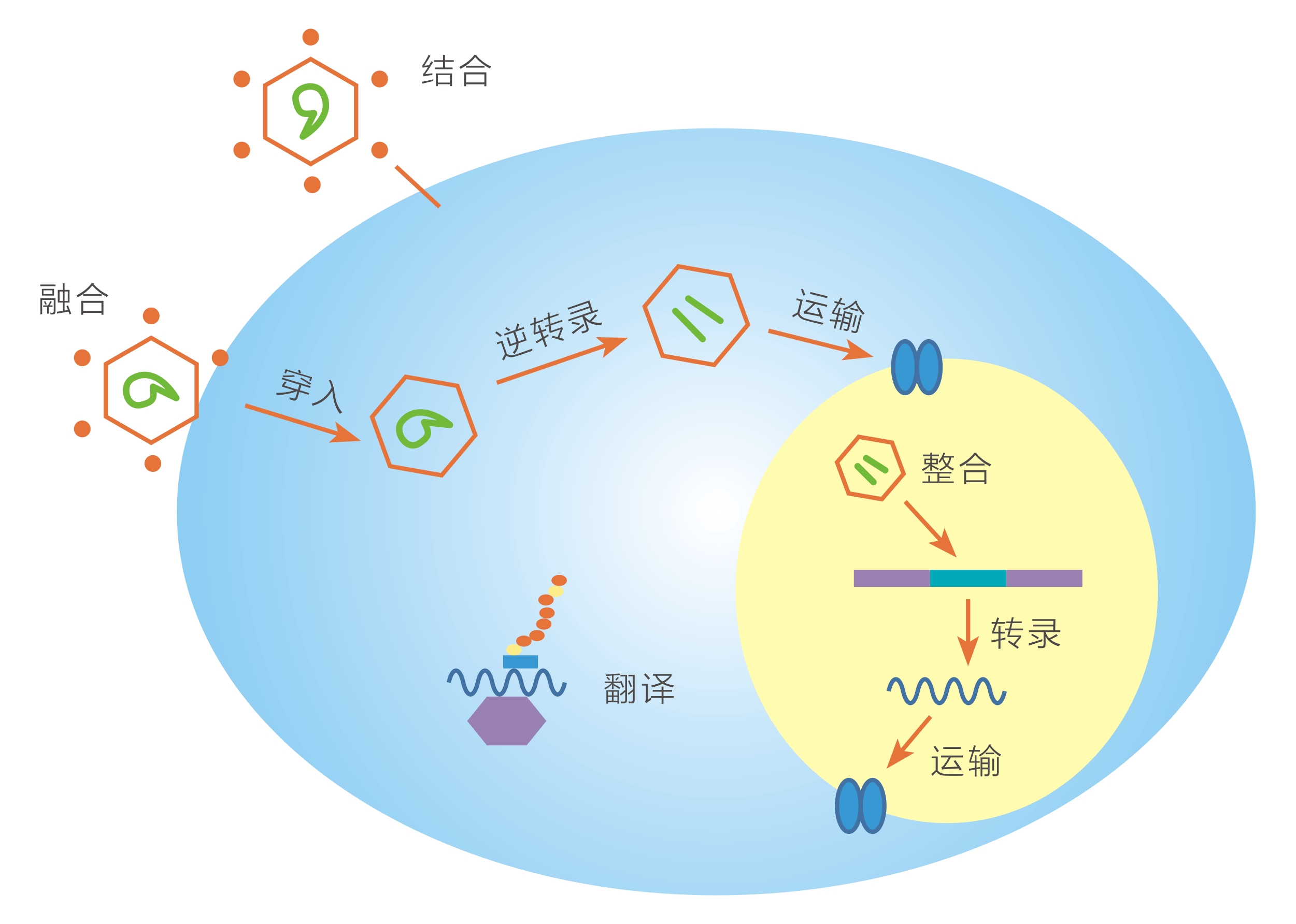 慢病毒包装