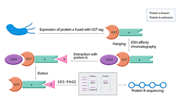 GST pull down