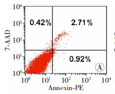 细胞凋亡检测